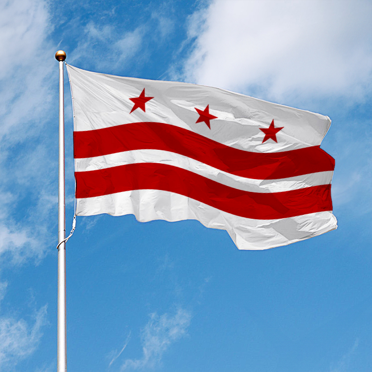 Washington DC State Flag